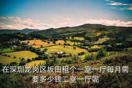 在深圳龍崗區坂田租個一室一廳每月需要多少錢二室一廳呢