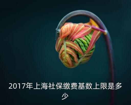上海市2017定額，上海市建筑和裝飾工程預(yù)算定額