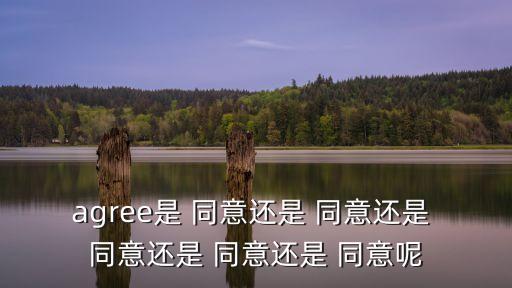 agree是 同意還是 同意還是 同意還是 同意還是 同意呢