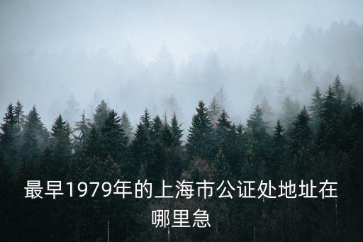 上海市公證處奉賢路，房屋買賣在奉賢怎么公證