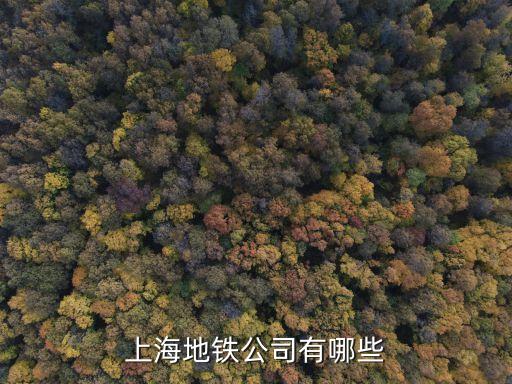 上海市地鐵公司在哪里，上海地鐵總部在哪里