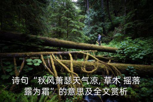 草木搖落露為霜,秋風蕭瑟天氣涼 草木搖落露為霜