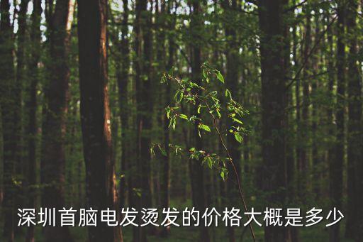 深圳燙頭發，深圳白石洲這里那一家做頭發做的好一點啊價格不要太貴我想燙頭