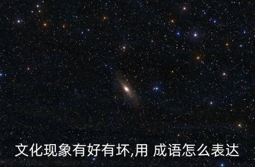 文化現(xiàn)象有好有壞,用 成語(yǔ)怎么表達(dá)