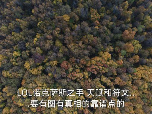 LOL諾克薩斯之手 天賦和符文...要有圖有真相的靠譜點(diǎn)的