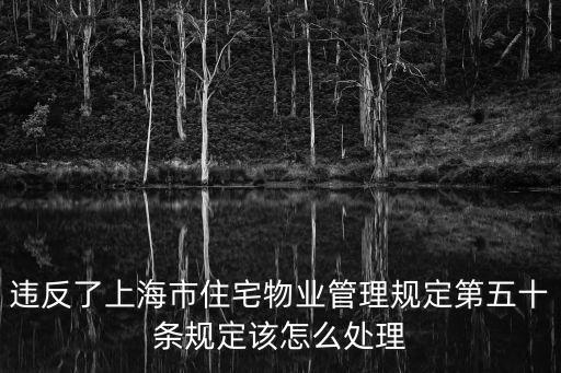 上海市城市私有住房管理條例，上海房屋管理條例