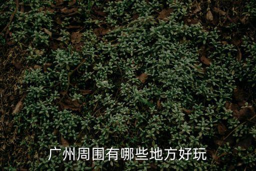 廣州周圍有哪些地方好玩
