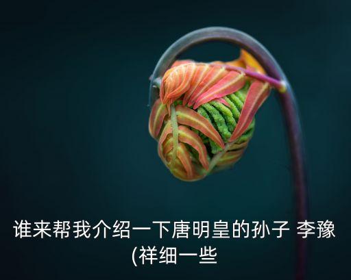 唐代宗李豫簡介,唐代宗李豫是怎樣一位皇帝?