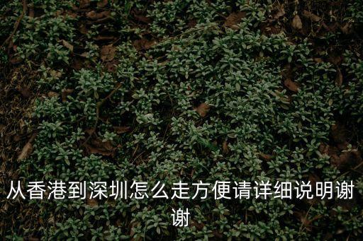 從香港到深圳怎么走方便請詳細說明謝謝