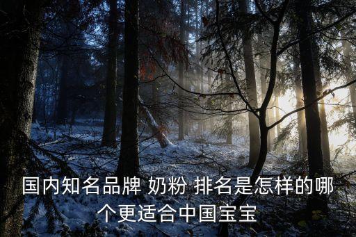 國內知名品牌 奶粉 排名是怎樣的哪個更適合中國寶寶