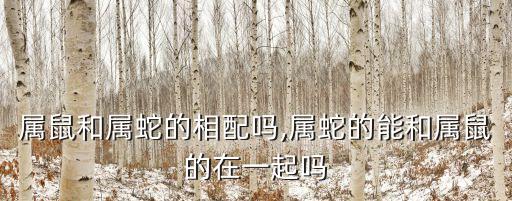 屬鼠和屬蛇的相配嗎,屬蛇的能和屬鼠的在一起嗎
