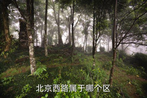 上海市靜安區(qū)和南北路，上海市靜安區(qū)河南北路485號靠近那個火車站