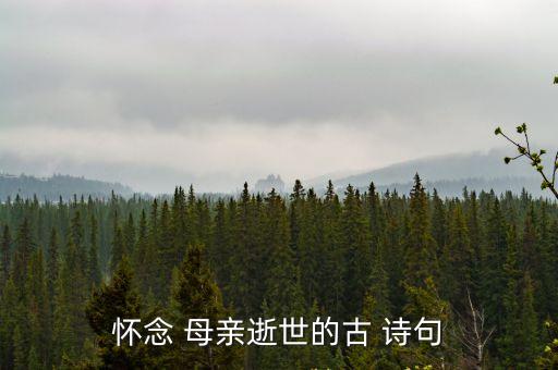 思念母親的詩句,清明上墳思念母親的詩句
