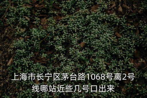 上海市長寧區茅臺路1068號離2號線哪站近些幾號口出來