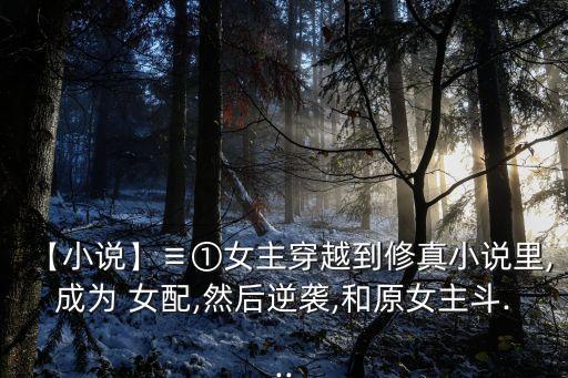 【小說】≡①女主穿越到修真小說里,成為 女配,然后逆襲,和原女主斗...