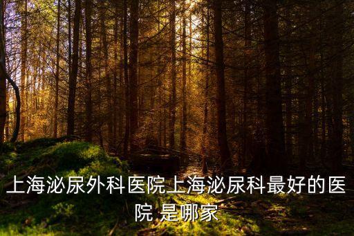 上海泌尿外科醫院上海泌尿科最好的醫院 是哪家