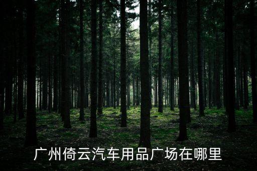 廣州倚云汽車用品廣場在哪里