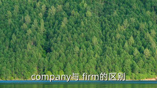 company與 firm的區別