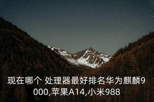現(xiàn)在哪個 處理器最好排名華為麒麟9000,蘋果A14,小米988