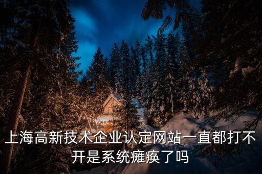 上海高新技術企業認定網站一直都打不開是系統癱瘓了嗎