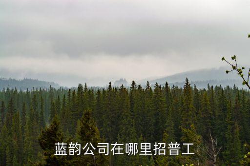 深圳辰陽實(shí)業(yè)有限公司招聘，深圳羅湖區(qū)深南東路61號(hào)