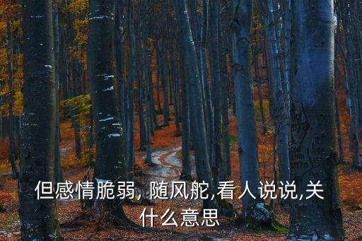 但感情脆弱, 隨風舵,看人說說,關什么意思