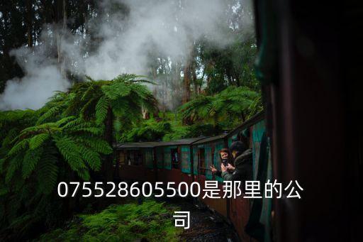 075528605500是那里的公司