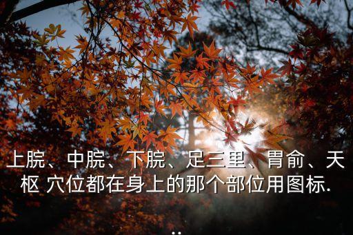 上脘、中脘、下脘、足三里、胃俞、天樞 穴位都在身上的那個(gè)部位用圖標(biāo)...