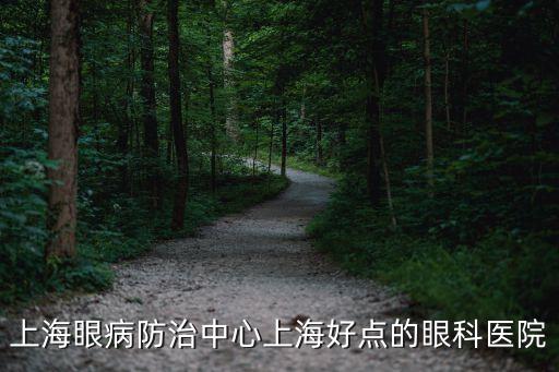 上海市眼病防治中心病床，上海眼病防治中心上海好點(diǎn)的眼科醫(yī)院