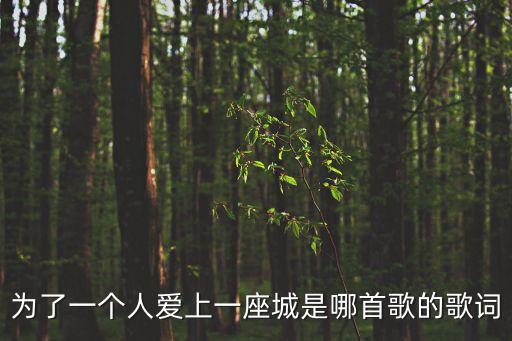 為了一個人愛上一座城是哪首歌的歌詞