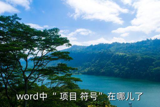 如何添加項目符號,word怎么添加一級文本項目符號?