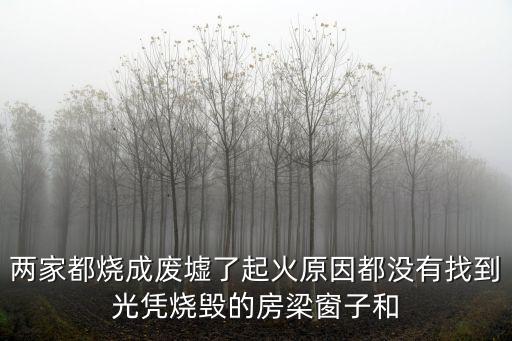 兩家都燒成廢墟了起火原因都沒有找到光憑燒毀的房梁窗子和