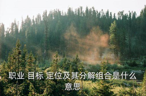 職業(yè) 目標(biāo) 定位及其分解組合是什么意思