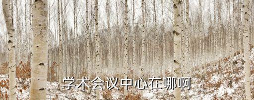 廣州華商學院會議中心，學術會議中心在哪啊