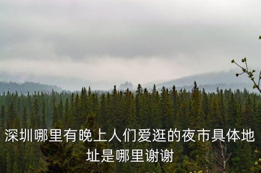 深圳哪里有晚上人們愛逛的夜市具體地址是哪里謝謝