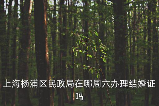 上海楊浦區(qū)民政局在哪周六辦理結(jié)婚證嗎