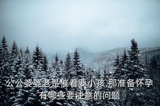公公婆婆老是催著要小孩,那準備懷孕有哪些要注意的問題