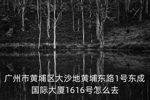 廣州市黃埔區大沙地黃埔東路1號東成國際大廈1616號怎么去