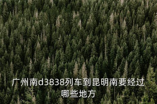 廣州南d3838列車到昆明南要經過哪些地方