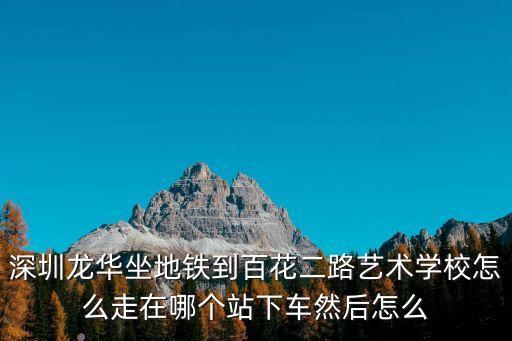 龍華到深圳藝術(shù)學(xué)校，怎樣從南山去深圳藝術(shù)學(xué)校
