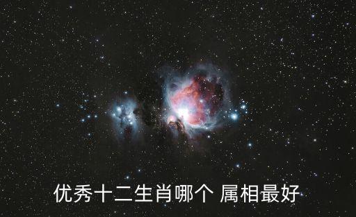 優秀十二生肖哪個 屬相最好