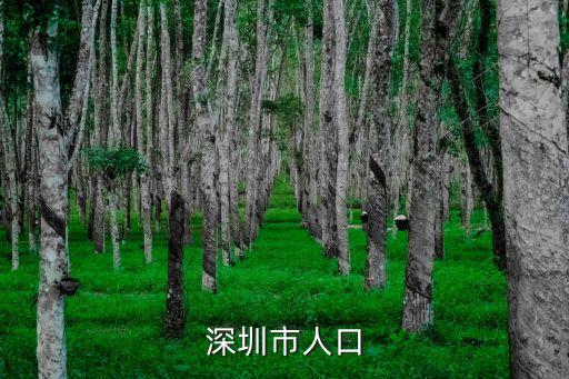 深圳市人口