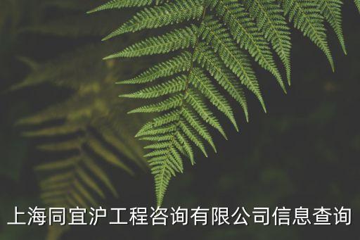 上海同宜滬工程咨詢有限公司信息查詢