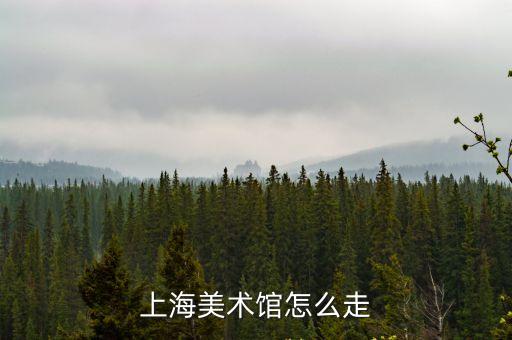 上海市壹號美術館，上海美術館怎么走