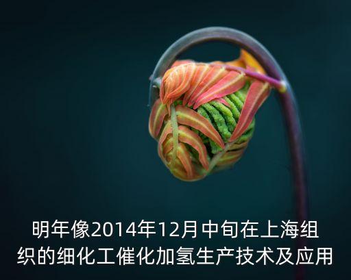 上海市組織黃劍剛，上海組織機(jī)構(gòu)代碼年檢是幾月份到幾月份 需要手續(xù)費(fèi)嗎 代理和我說(shuō)給