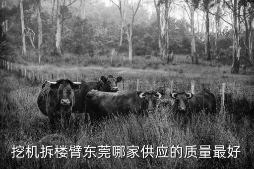 東莞拆除巖石臂廠家，東莞寮步鎮(zhèn)富竹山志成機械廠在那個位置