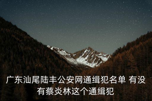 廣東汕尾陸豐公安網通緝犯名單 有沒有蔡炎林這個通緝犯