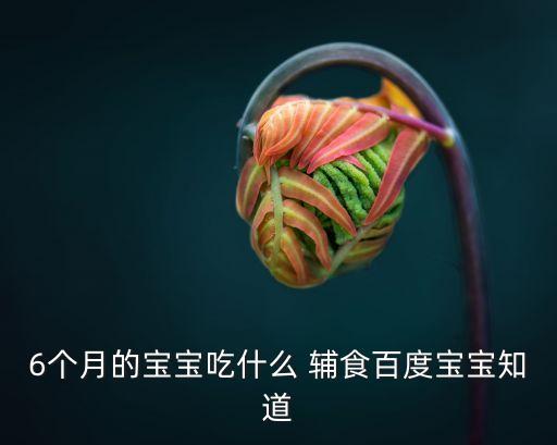 六個月嬰兒輔食安排表,6個月米粉一天吃幾勺