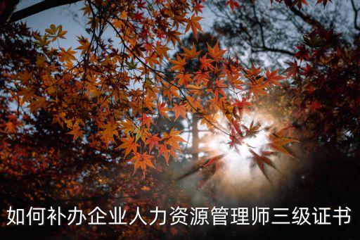 如何補(bǔ)辦企業(yè)人力資源管理師三級(jí)證書(shū)