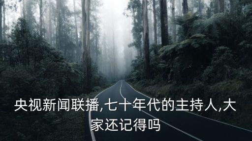 播音員王寧,新聞聯播播音員王寧